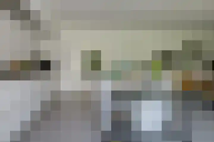 Dassenlaar 10 Bavel thumbnail 27