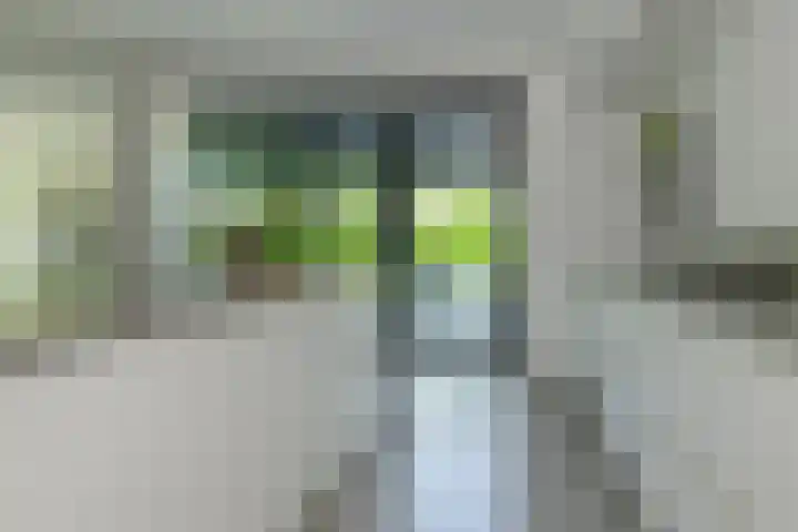 Dassenlaar 10 Bavel thumbnail 28