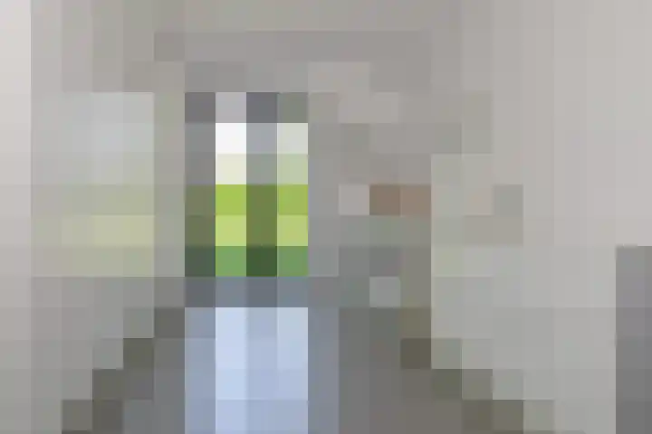 Dassenlaar 10 Bavel thumbnail 29