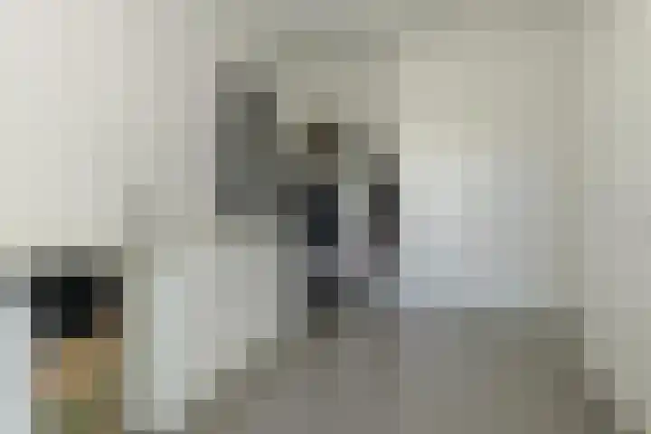 Dassenlaar 10 Bavel thumbnail 30