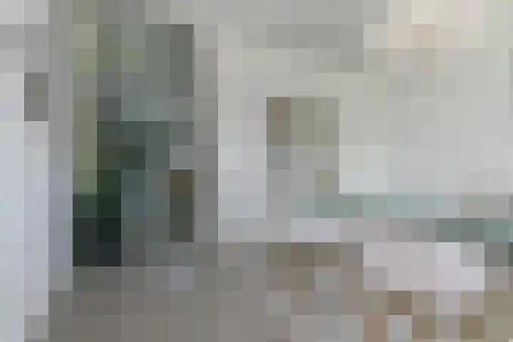 Dassenlaar 10 Bavel thumbnail 34