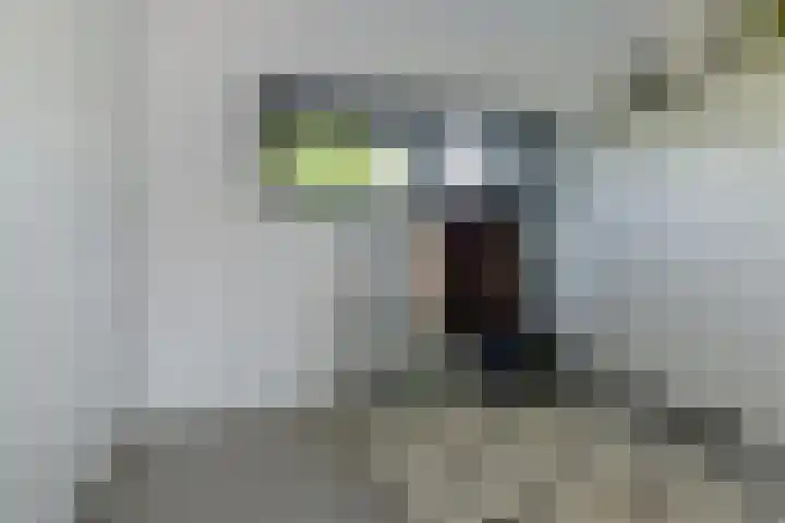 Dassenlaar 10 Bavel thumbnail 57