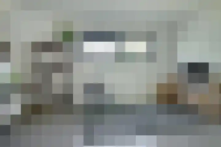 Dassenlaar 10 Bavel thumbnail 59