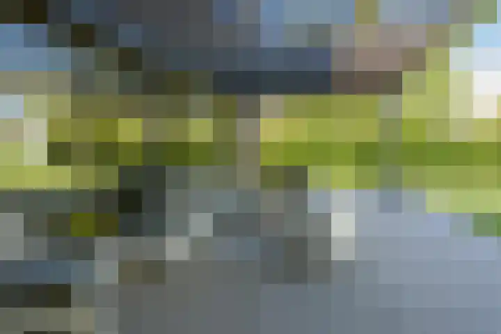Dassenlaar 10 Bavel thumbnail 62