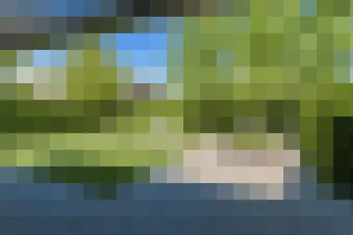 Dassenlaar 10 Bavel thumbnail 65