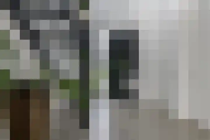 Dassenlaar 10 Bavel thumbnail 7