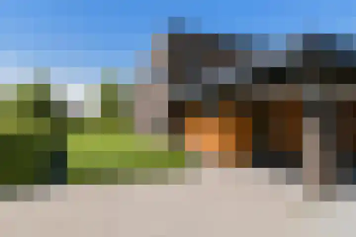 Dassenlaar 10 Bavel thumbnail 76