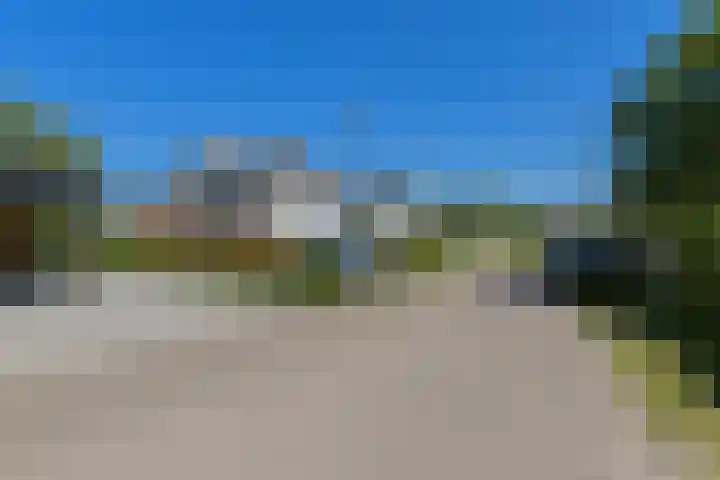 Dassenlaar 10 Bavel thumbnail 77