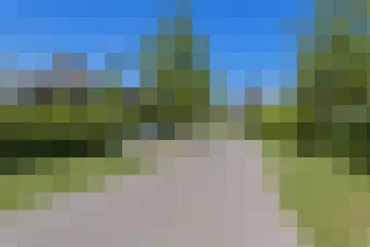 Dassenlaar 10 Bavel thumbnail 79