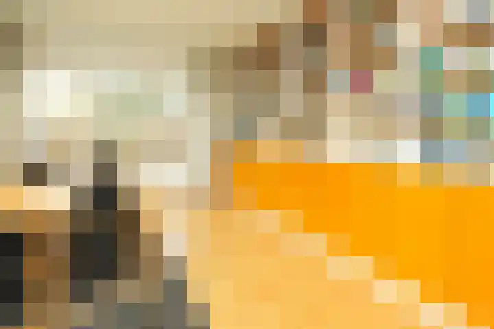 Dassenloop 13 Hernen thumbnail 26