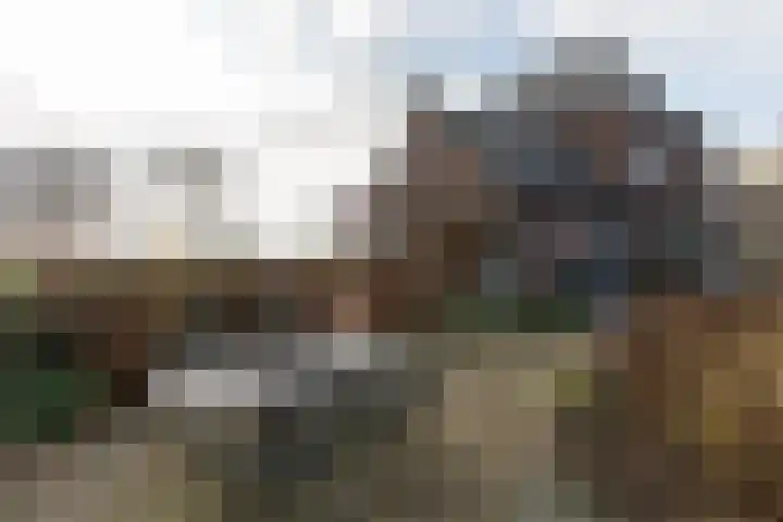 Dassenloop 13 Hernen thumbnail 47