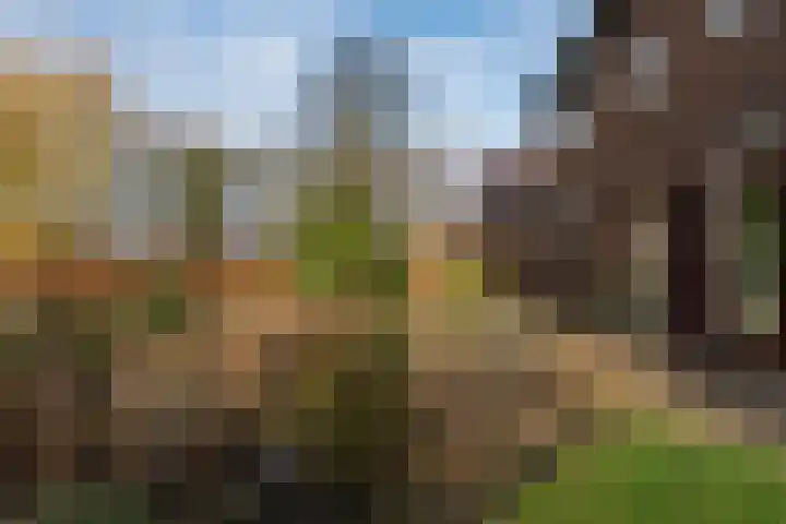 Dassenloop 13 Hernen thumbnail 49