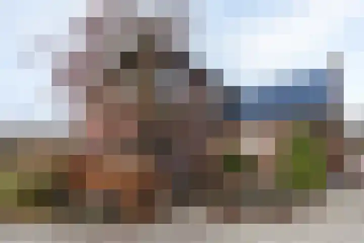 Dassenloop 13 Hernen thumbnail 5