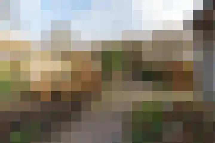 Dassenloop 13 Hernen thumbnail 50