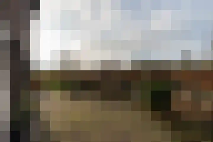 Dassenloop 13 Hernen thumbnail 51