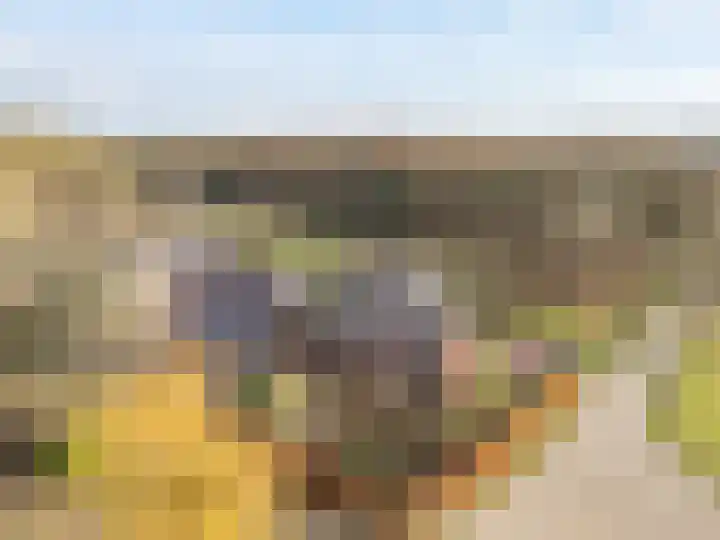 Dassenloop 13 Hernen thumbnail 52