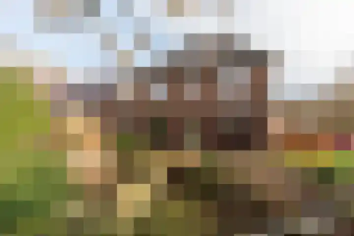 Dassenloop 13 Hernen thumbnail 6