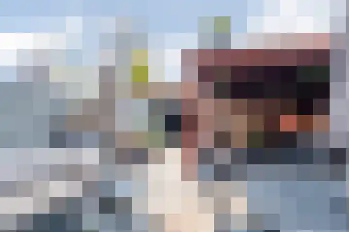 Dassenrade 27 Den Haag thumbnail 22