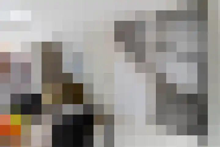 Dassenrade 27 Den Haag thumbnail 27