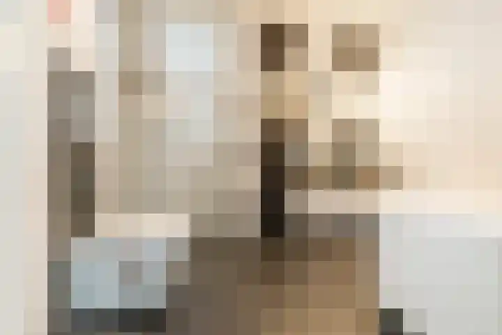 Dassenrade 27 Den Haag thumbnail 4