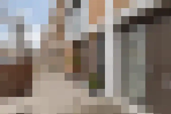 Dassenrade 27 Den Haag thumbnail 46