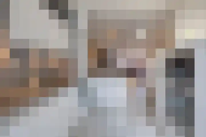 Dassenrade 92 Den Haag thumbnail 9