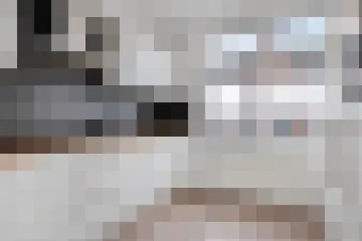 Dasstraat 8 Helmond thumbnail 11