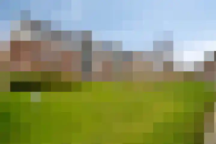 Dasstraat 8 Helmond thumbnail 33