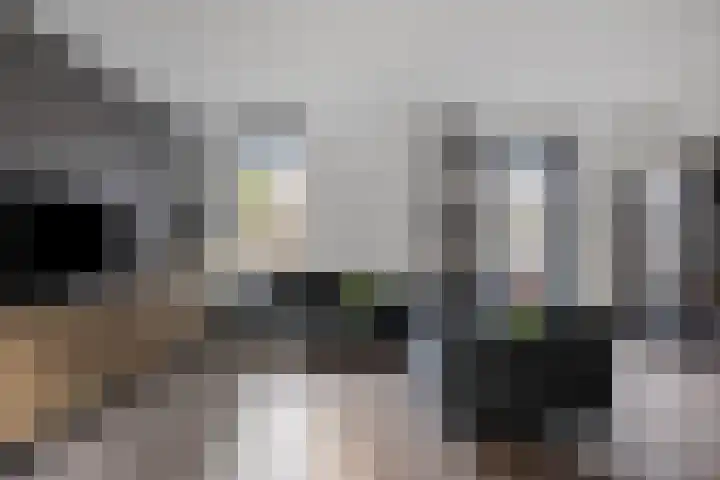 Dasstraat 8 Helmond thumbnail 5