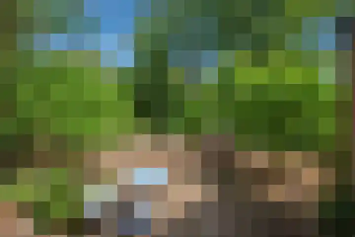 Datheenhove 46 Zoetermeer thumbnail 13