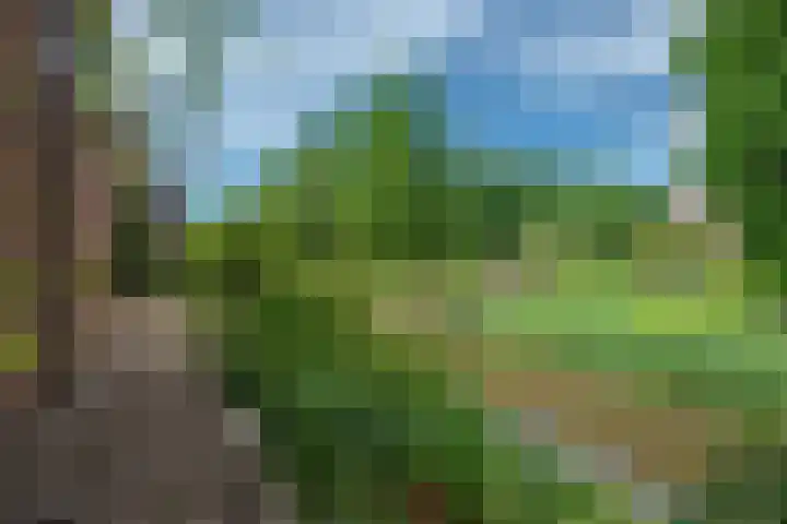 Datheenhove 46 Zoetermeer thumbnail 15
