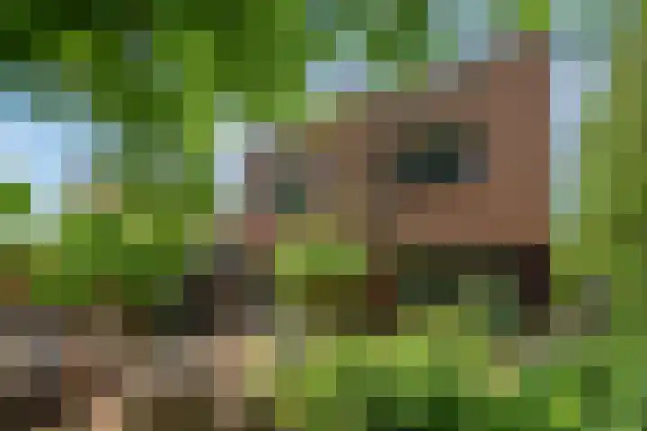 Datheenhove 46 Zoetermeer thumbnail 17