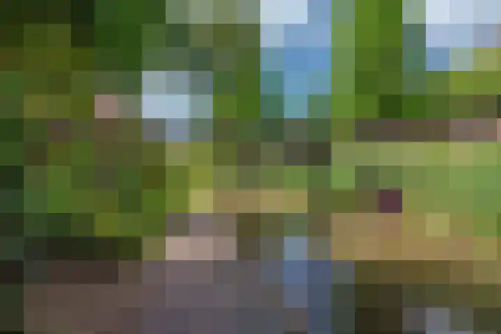Datheenhove 46 Zoetermeer thumbnail 20