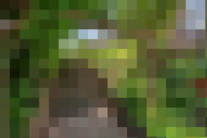Datheenhove 46 Zoetermeer thumbnail 21