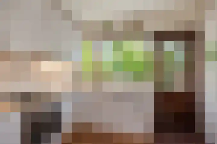 Datheenhove 46 Zoetermeer thumbnail 24