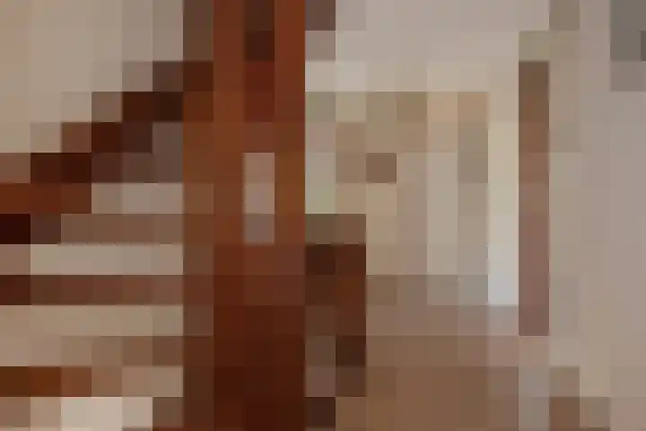 Datheenhove 46 Zoetermeer thumbnail 35