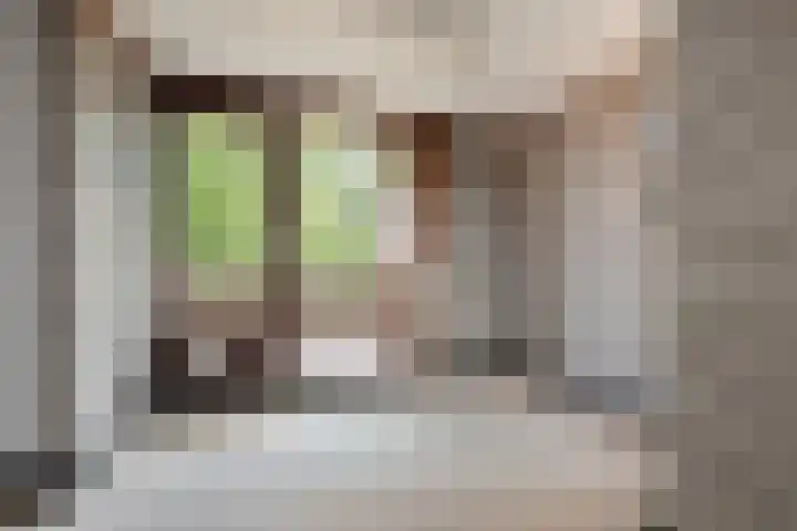 Datheenhove 46 Zoetermeer thumbnail 49