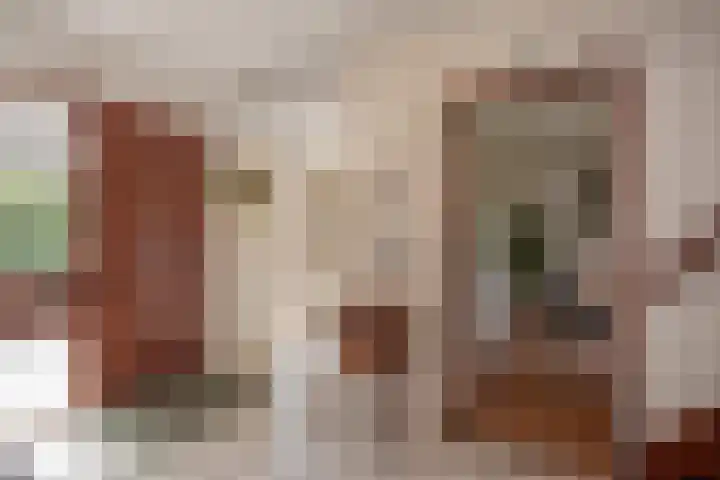 Datheenhove 46 Zoetermeer thumbnail 5