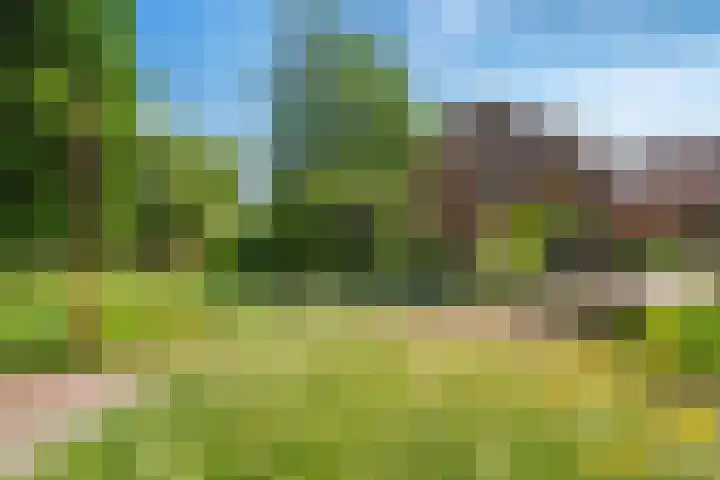 Datheenhove 46 Zoetermeer thumbnail 50