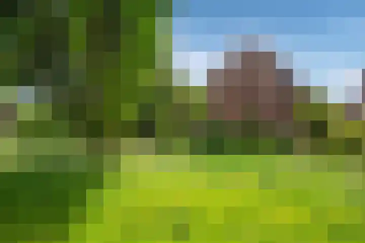 Datheenhove 46 Zoetermeer thumbnail 51
