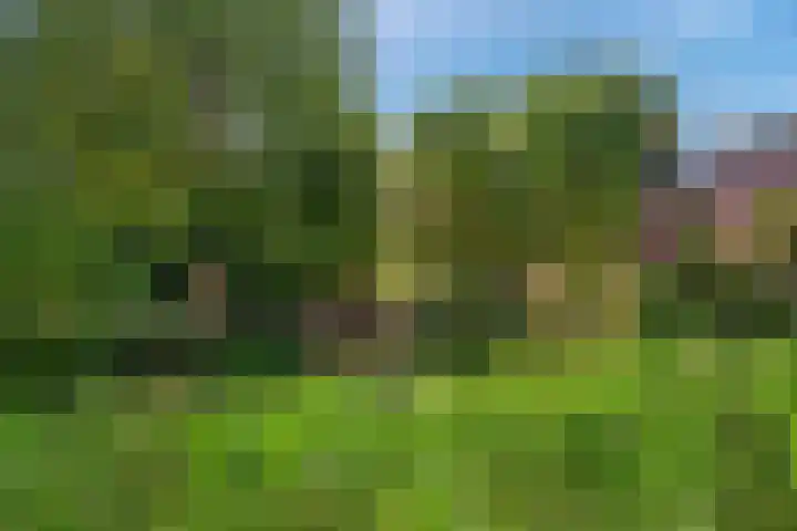 Datheenhove 46 Zoetermeer thumbnail 52
