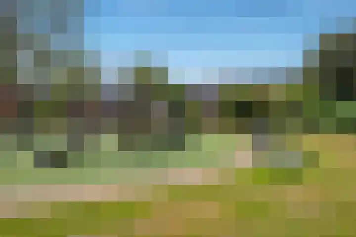 Datheenhove 46 Zoetermeer thumbnail 53