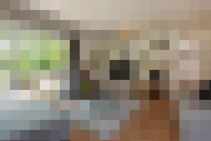 Datheenhove 46 Zoetermeer thumbnail 7
