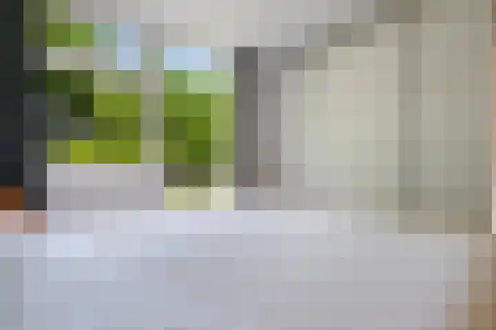 Datheenhove 46 Zoetermeer thumbnail 8