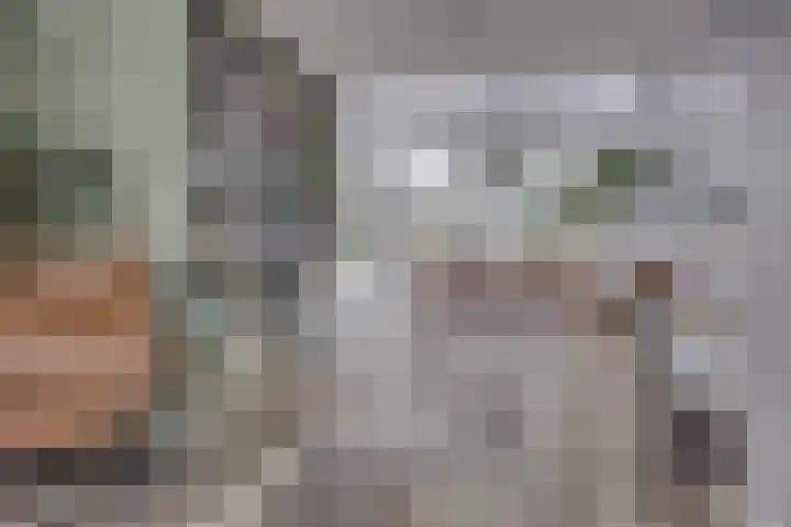 Datheenhove 46 Zoetermeer thumbnail 9