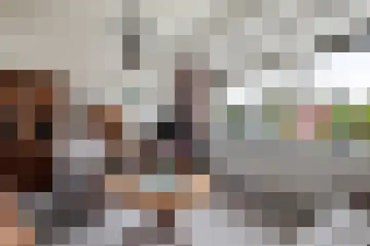 Davelaer 12 St.-Annaparochie thumbnail 11
