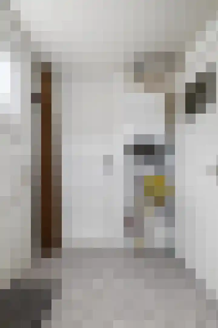Davelaer 12 St.-Annaparochie thumbnail 16