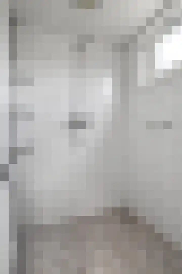 Davelaer 12 St.-Annaparochie thumbnail 18