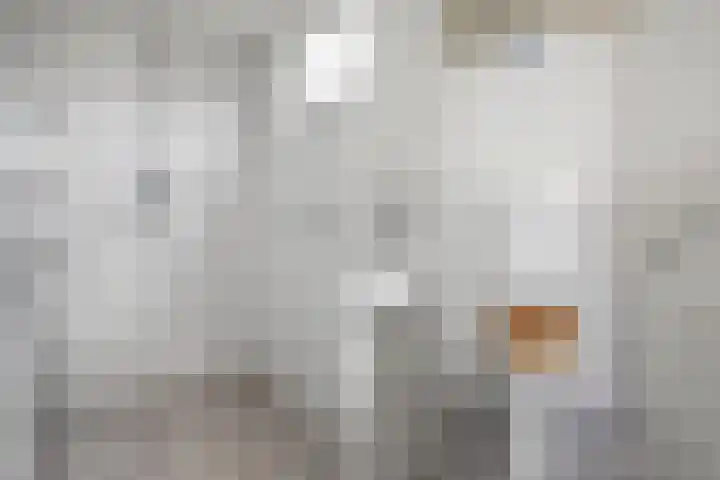 Davelaer 12 St.-Annaparochie thumbnail 19