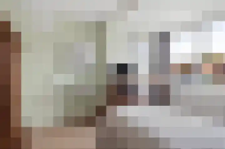 Davelaer 12 St.-Annaparochie thumbnail 24